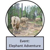 Elephant Adventure Badge